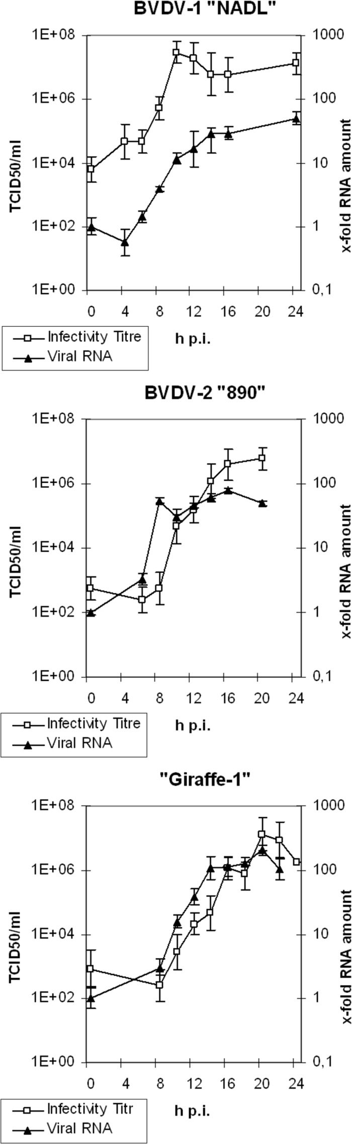 FIG 1