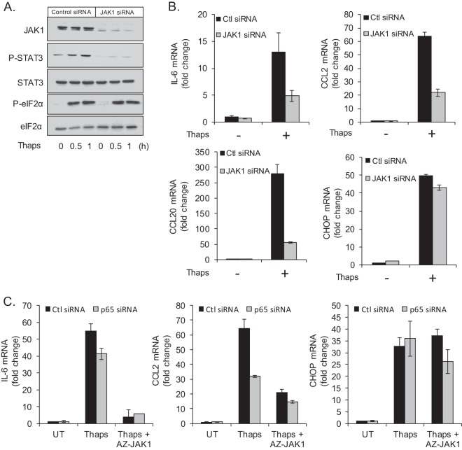 FIG 6