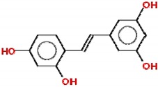 graphic file with name molecules-25-00893-i007.jpg