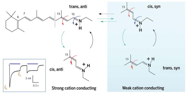 Fig. 3