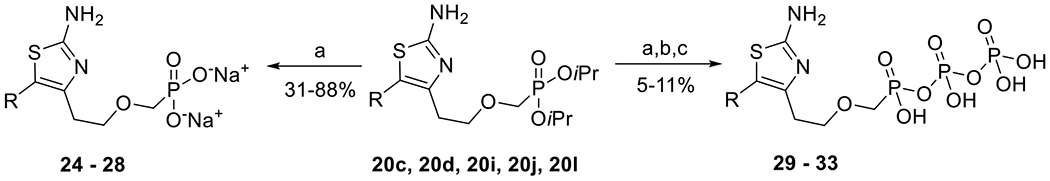 Scheme 4.