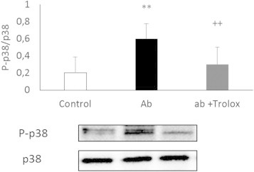 Fig. 1