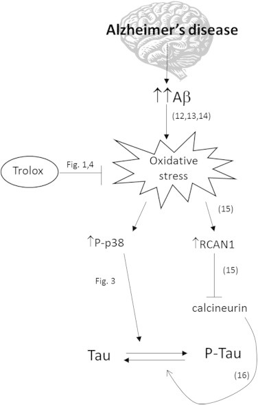 Fig. 6