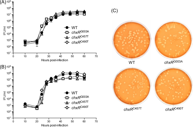 Figure 2.