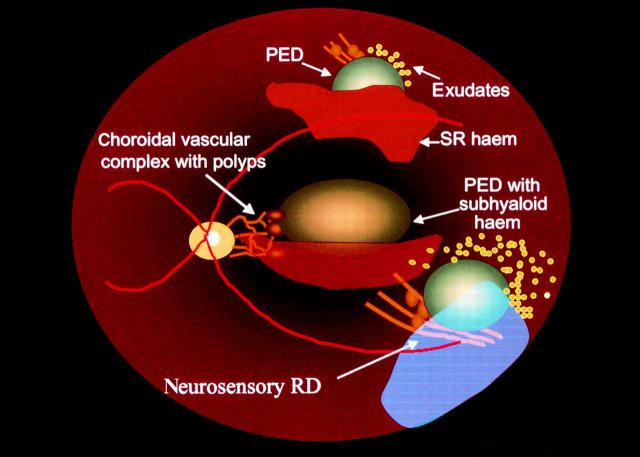 Figure 1  