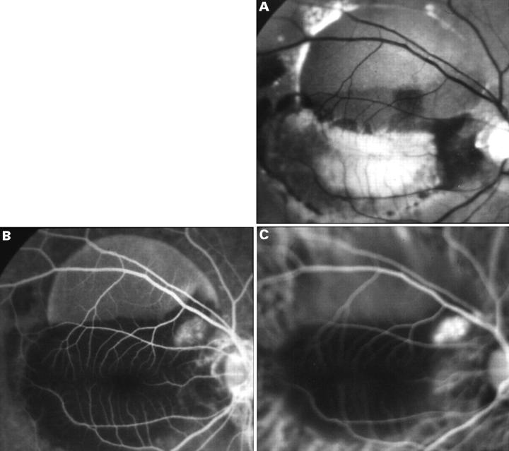 Figure 5  