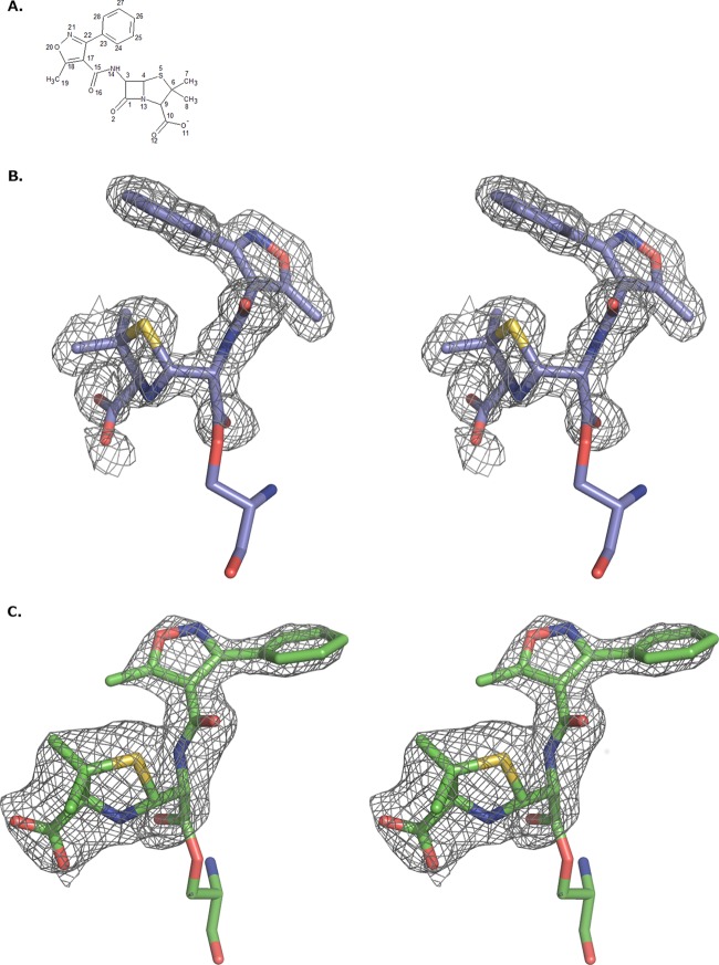 FIG 1