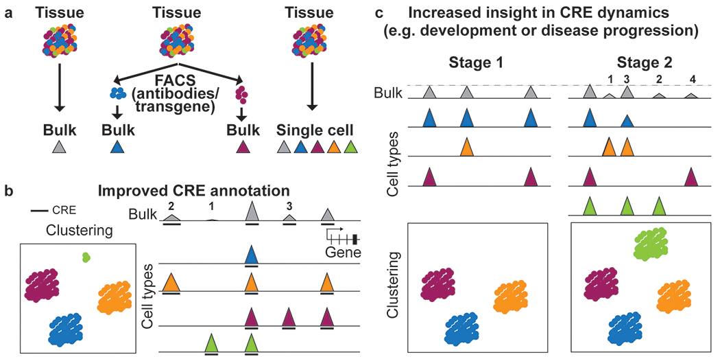 Figure 2: