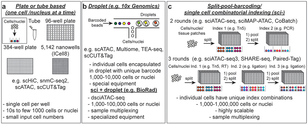 Figure 3: