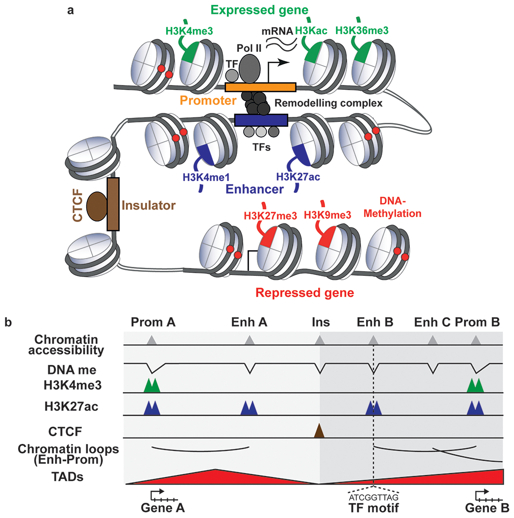 Figure 1: