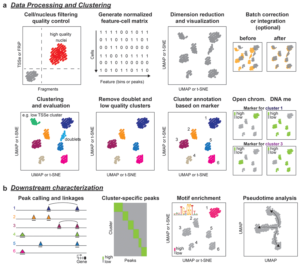 Figure 4: