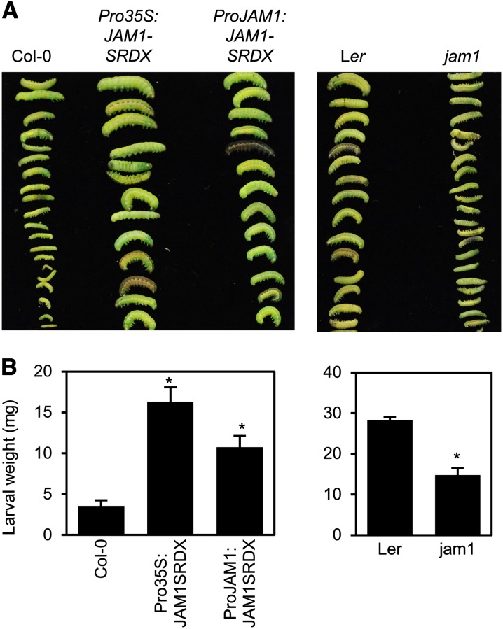 Figure 6.