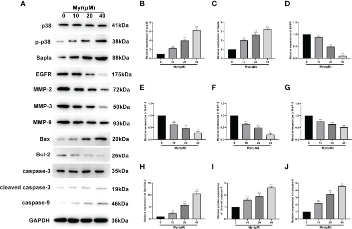 Figure 6