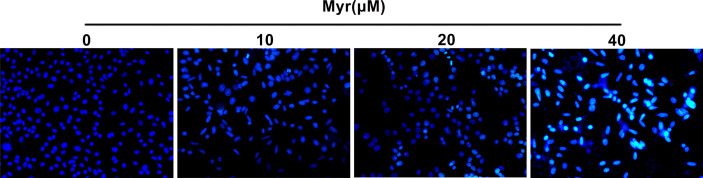 Figure 5