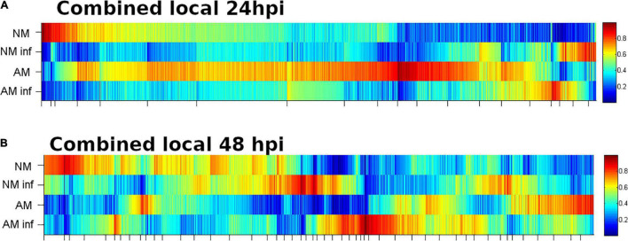 FIGURE 6