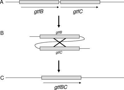 FIG. 1.