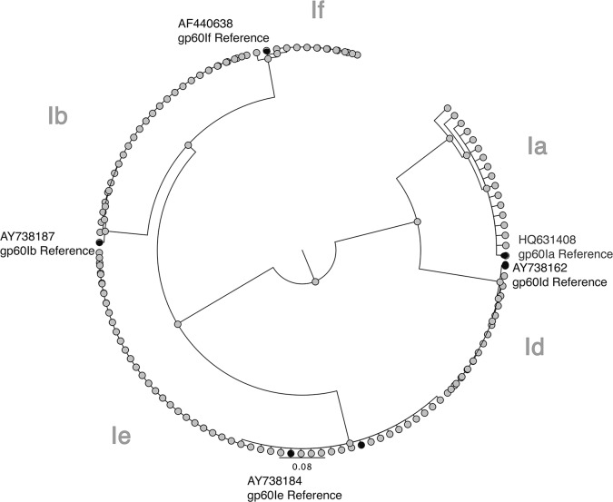 Fig 5