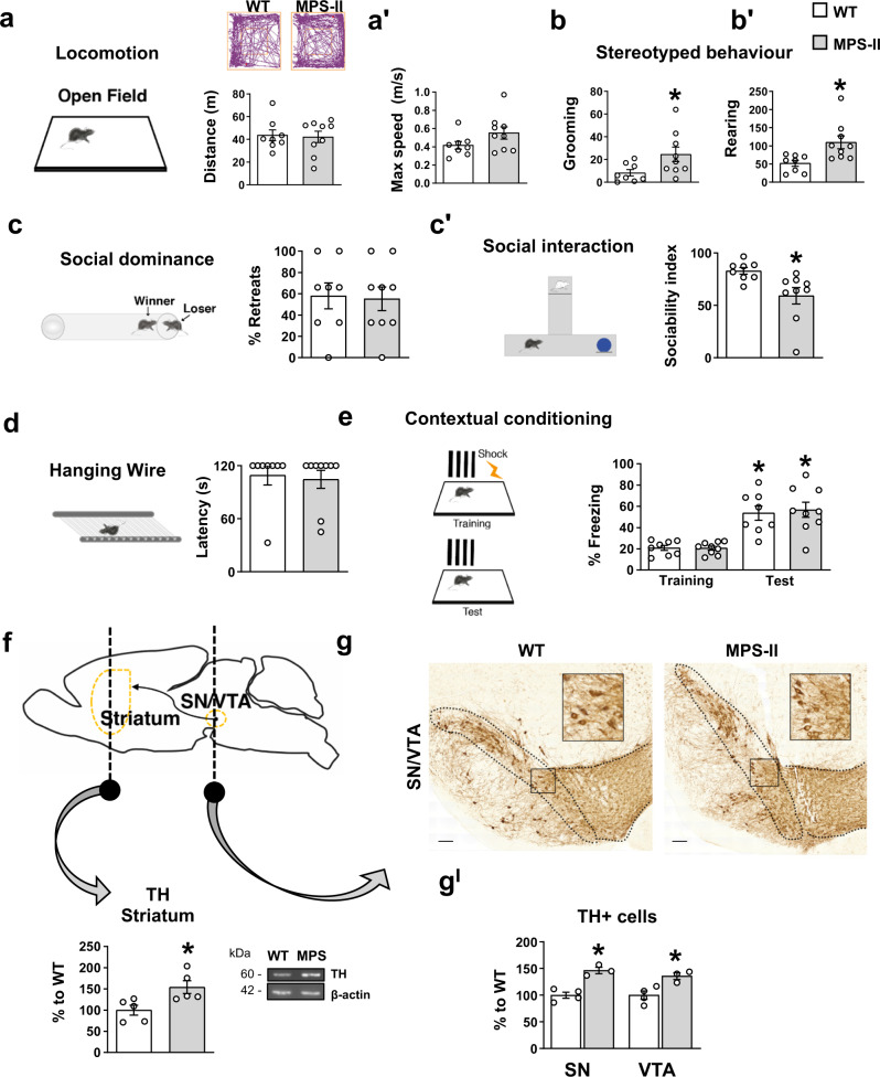 Fig. 8