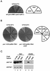 FIG. 6.