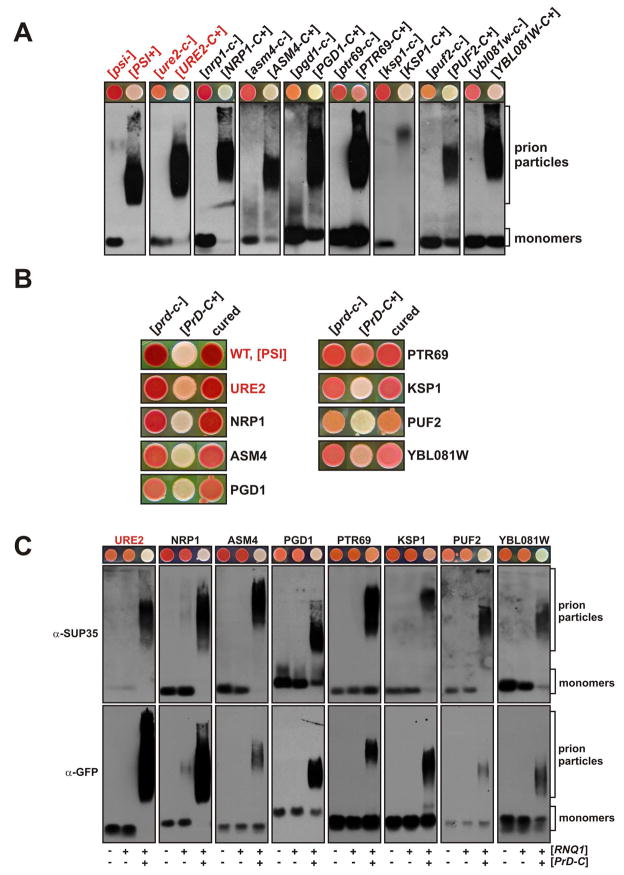 Figure 5