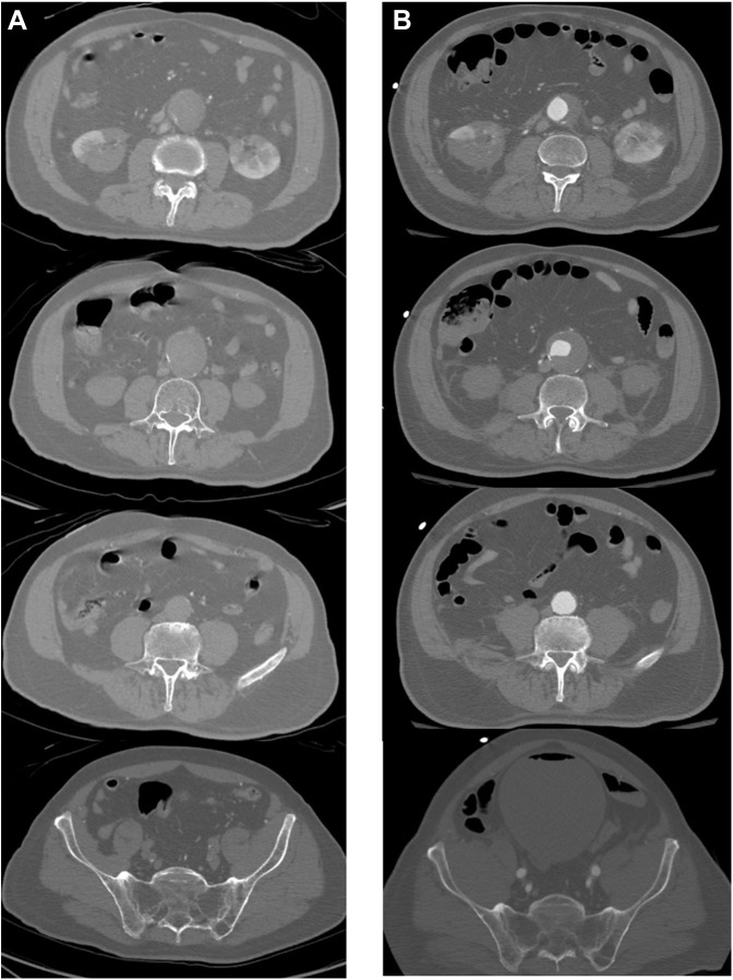 Fig. 2