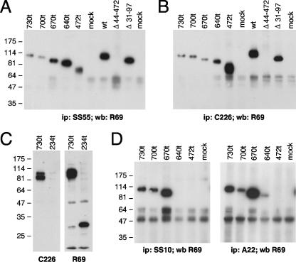 FIG. 7.