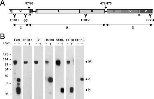 FIG. 4.