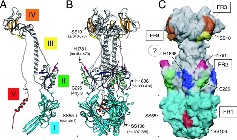 FIG. 9.