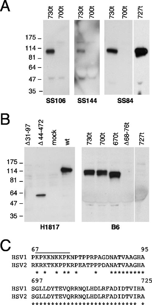 FIG. 6.