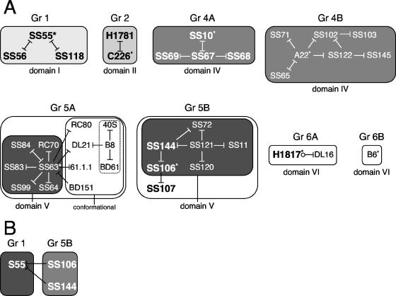 FIG. 8.