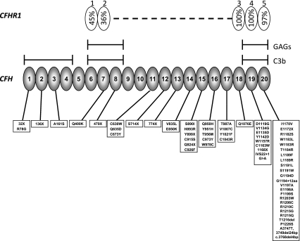 Fig. 2