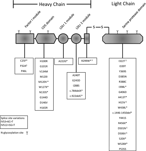 Fig. 4