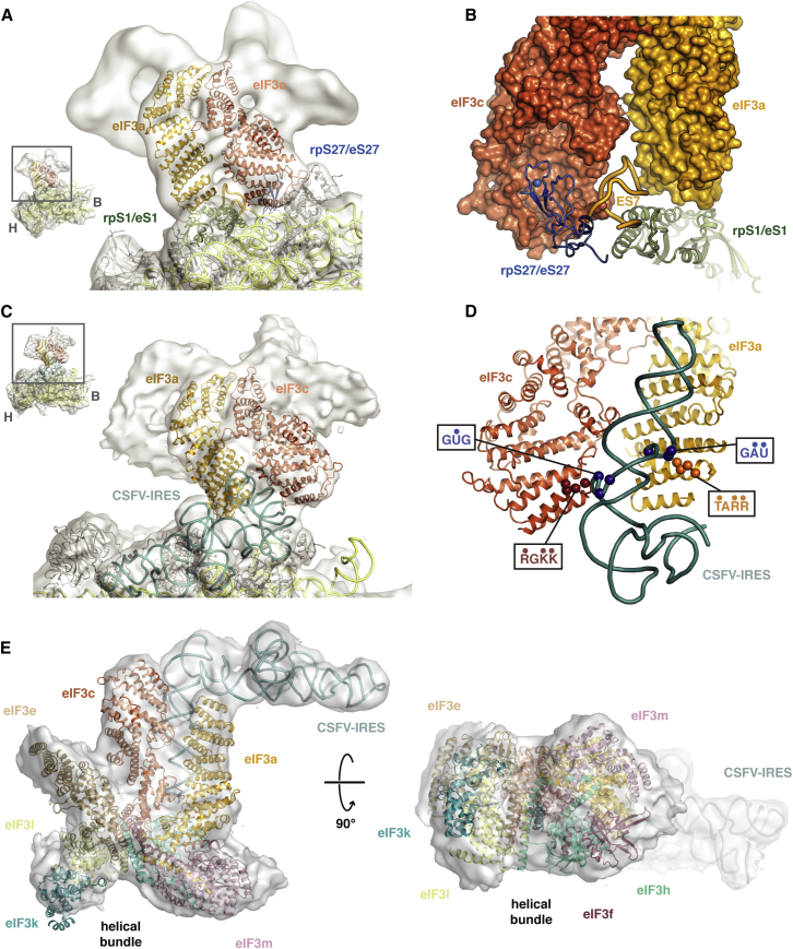 Figure 3