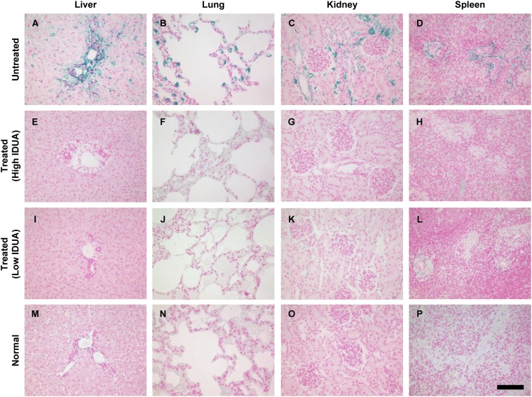 Fig. 3.