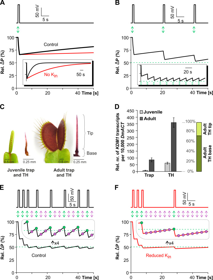 Fig 5