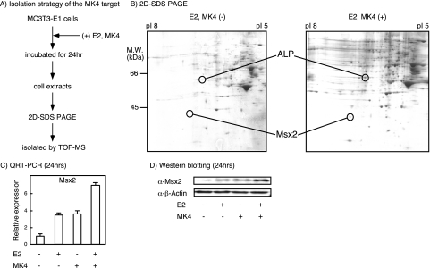 FIG. 2.