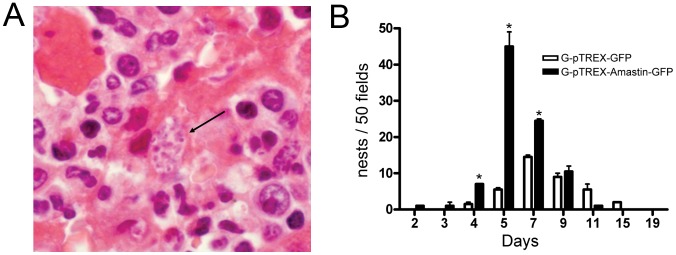 Figure 7