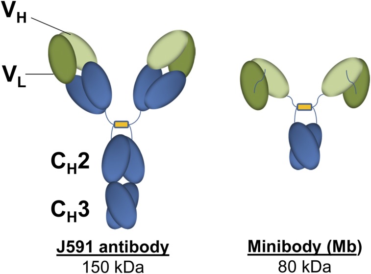 FIGURE 1.