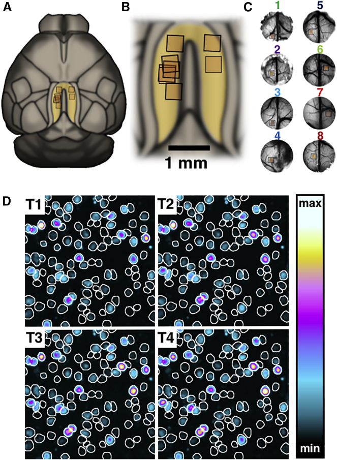 Figure 1