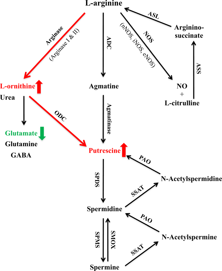 Fig. 1