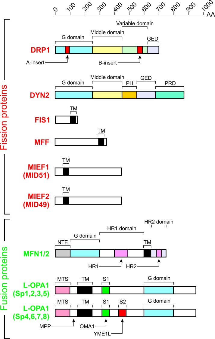 FIG. 8.