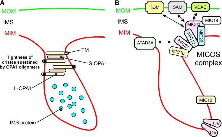 FIG. 10.