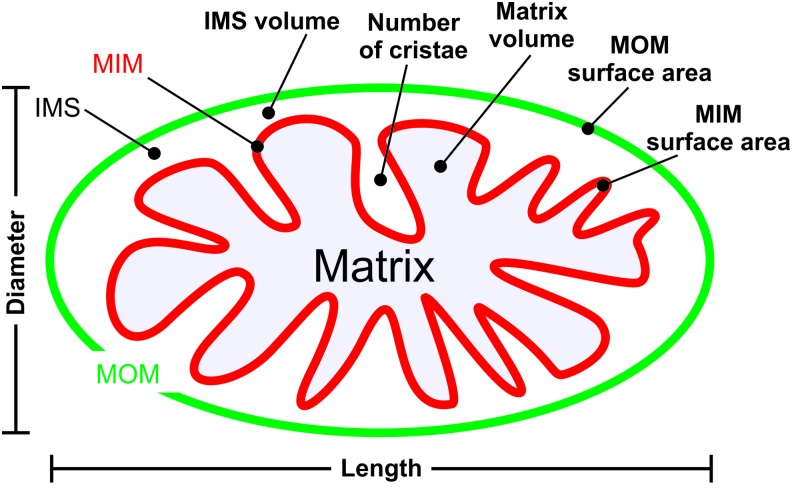 FIG. 12.