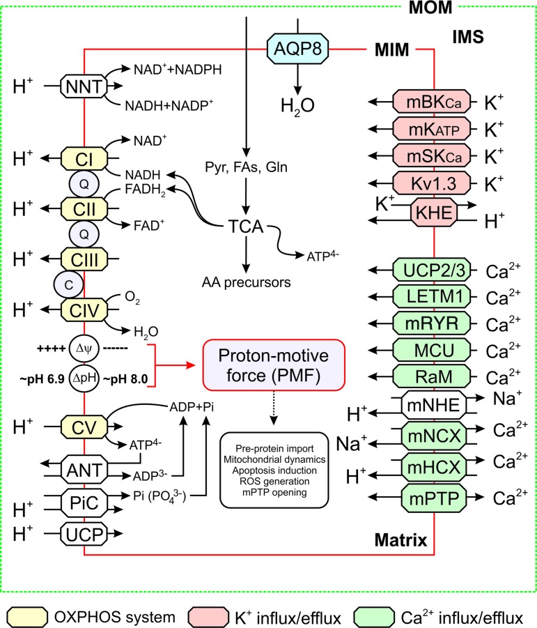 FIG. 1.