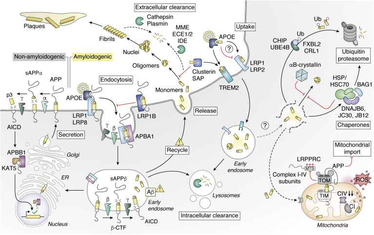 Figure 1