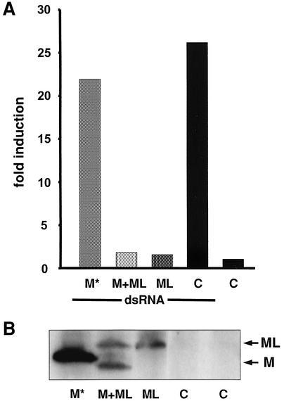 FIG. 5.