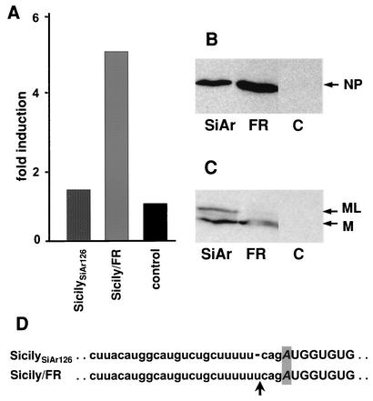 FIG. 4.