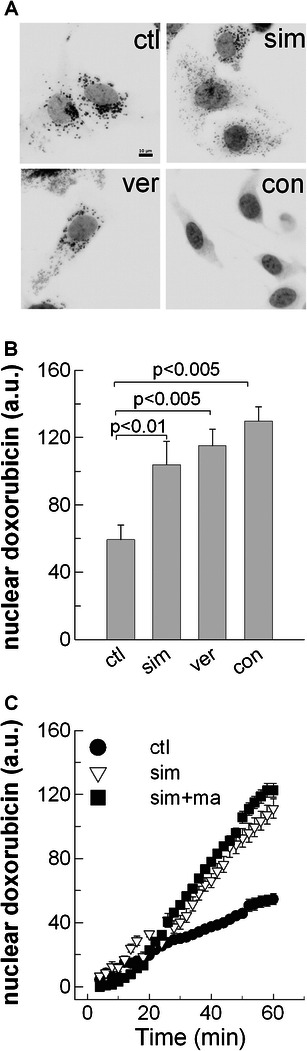 Fig. 8