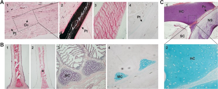 FIGURE 3.