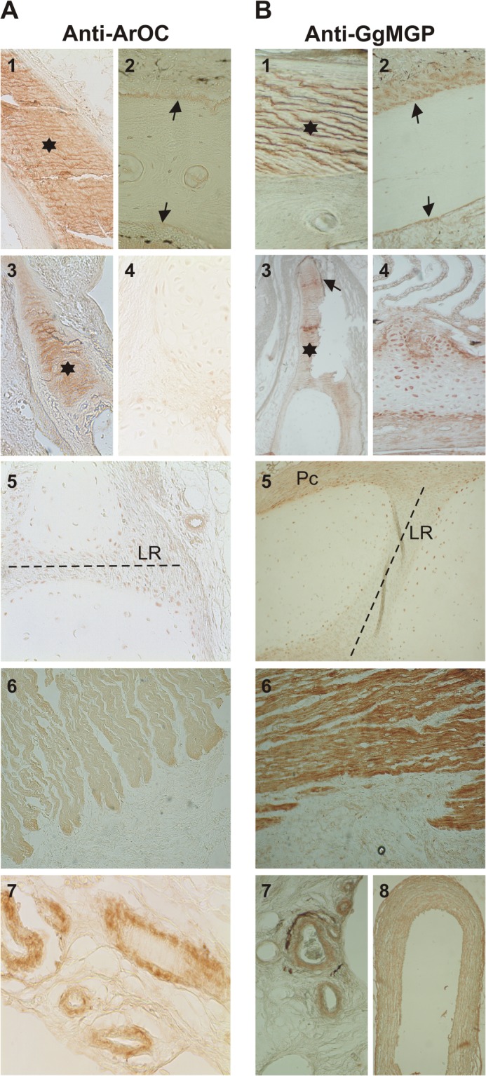 FIGURE 9.